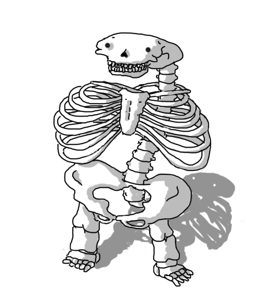 A skeleton shaped like Bigbot.