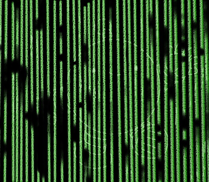 Vertical lines of glowing green that resemble text on a black background, broken up by the odd gap. Drawn across the lines in slightly brighter green is an outline of a smiling spherical robot with banded arms and legs and an antenna.