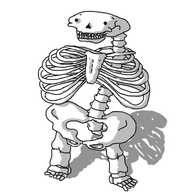 A skeleton shaped like Bigbot.