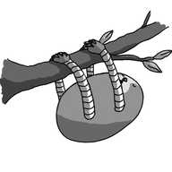 An ovoid robot with four long, banded limbs. It's hanging by all four limbs from a tree branch with interlinked clawed hands and has its eyes closed. Its face has the patterning and nose of a sloth.