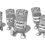 Five robots in the form of cylindrical spice jars with little lids on them. They each have two banded legs on their undersides and eyes on their lids. The jars are labelled and contain ground ginger, sea salt, saffron, Carolina reaper powder and "literally just salt".