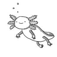 A smiling robot in the form of an axolotl.